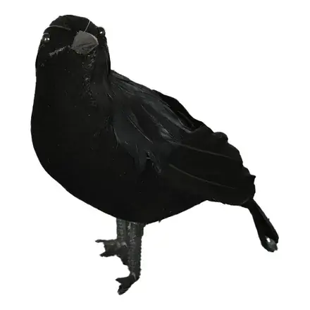 Sort Ravn Dekoration | Bestseller
