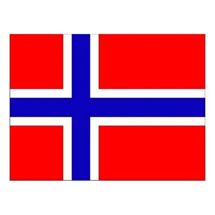 Leveres hurtigt - Flag Norge