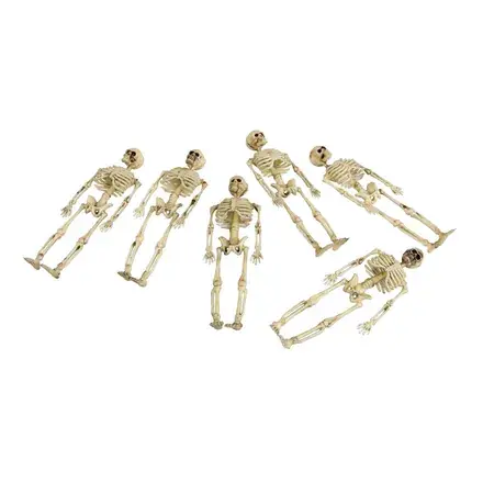 Skelet i Pose | Nyhed
