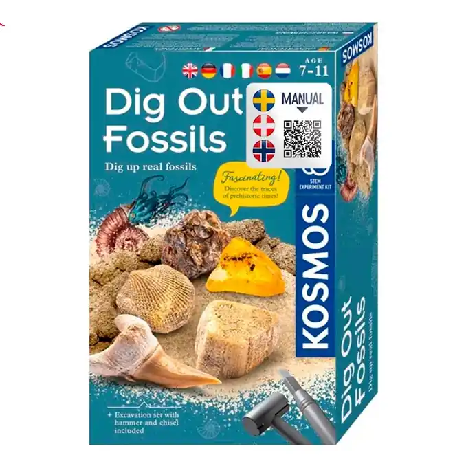 Dig Out Fossils - Science kit - Superpris